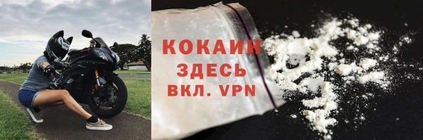 сатива Елабуга