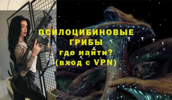 а пвп мука Ельня