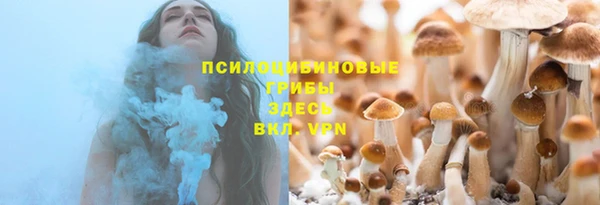 а пвп мука Ельня