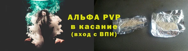 сатива Елабуга