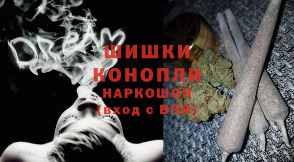 сатива Елабуга