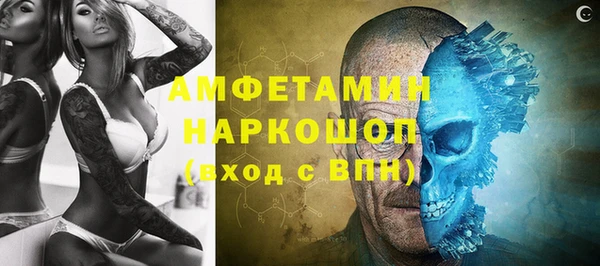 сатива Елабуга