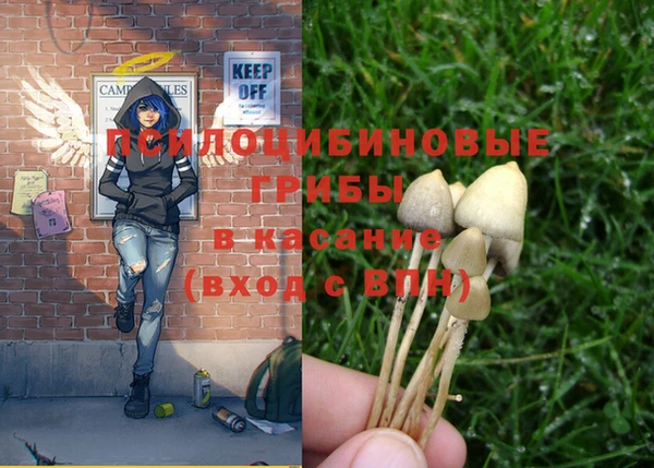 гашиш Елизово