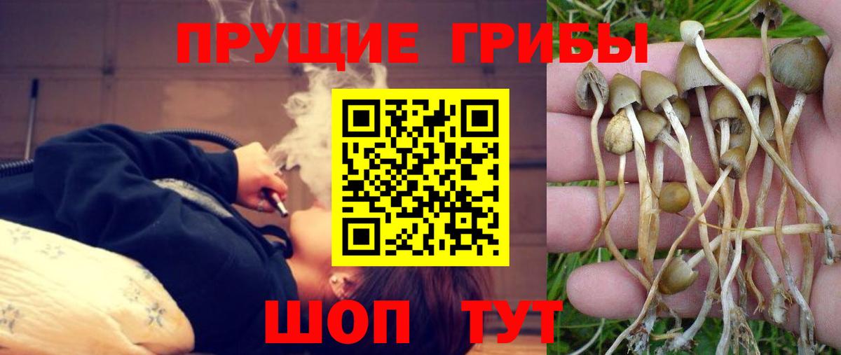 Галлюциногенные грибы мухоморы Владивосток
